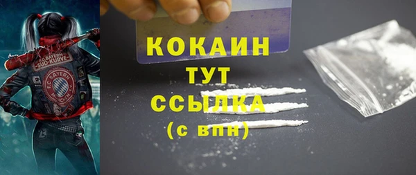 молекула духа Балахна