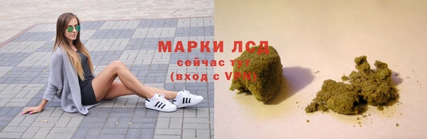 стаф Баксан