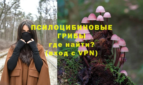 2c-b Балабаново