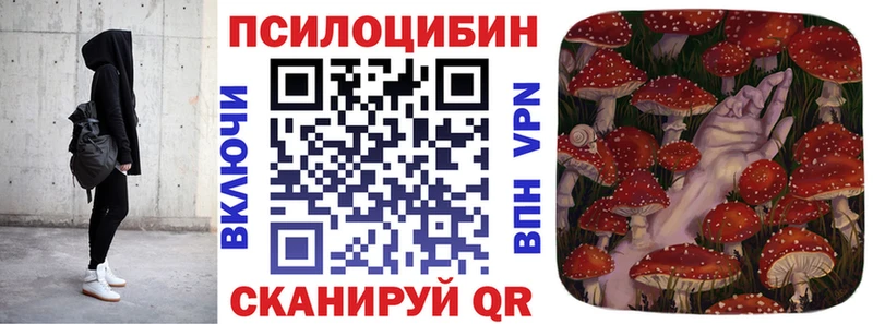 Псилоцибиновые грибы Psilocybe  Иноземцево 